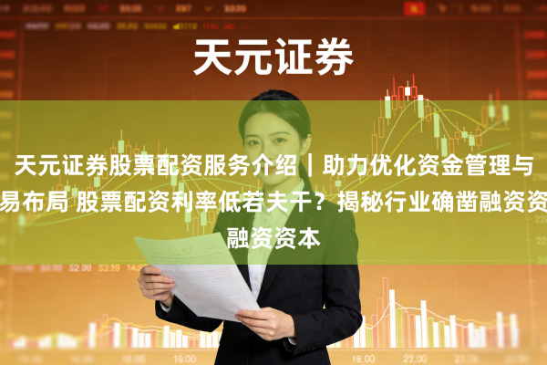 天元证券股票配资服务介绍｜助力优化资金管理与交易布局 股票配资利率低若夫干？揭秘行业确凿融资资本